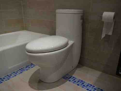 TB309 toilet Installed