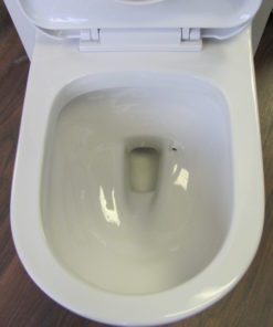 elongated toilet
