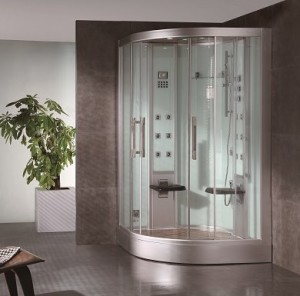 Steam Shower Features