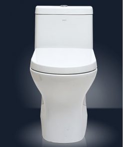 eco friendly skited toilet