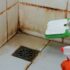3 Tips for Cleaning your Shower Properly