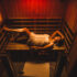 Sauna Heat Therapy Detoxification